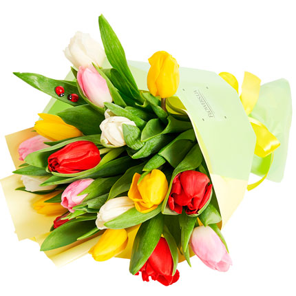 17 colorful tulips with balloons – delivery in Ukraine