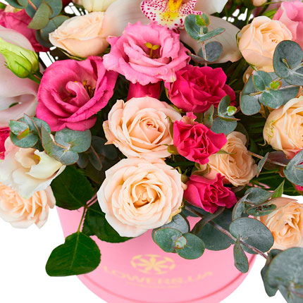 Квіти у коробці "Нефертіті!" – замовити з доставкою