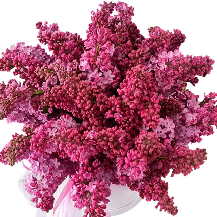 Цветы в коробке "15 веток ароматной сирени" – доставка по Украине