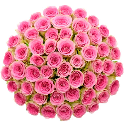 51 roses Time Square (Kenya) – delivery in Ukraine