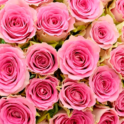 51 roses Time Square (Kenya) – order with delivery