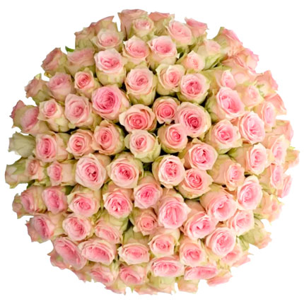 101 роза Sudoku (Кения) – доставка по Украине