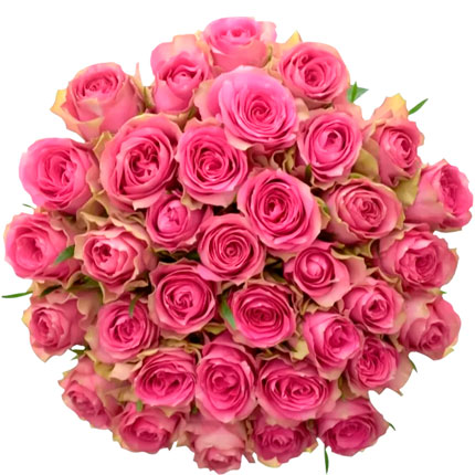 35 розовых роз Shiary (Кения) – доставка по Украине