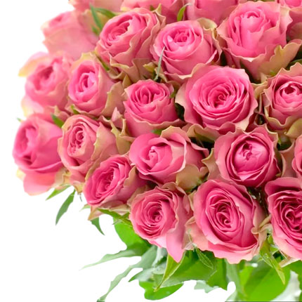 51 pink rose Shiary (Kenya) – order with delivery