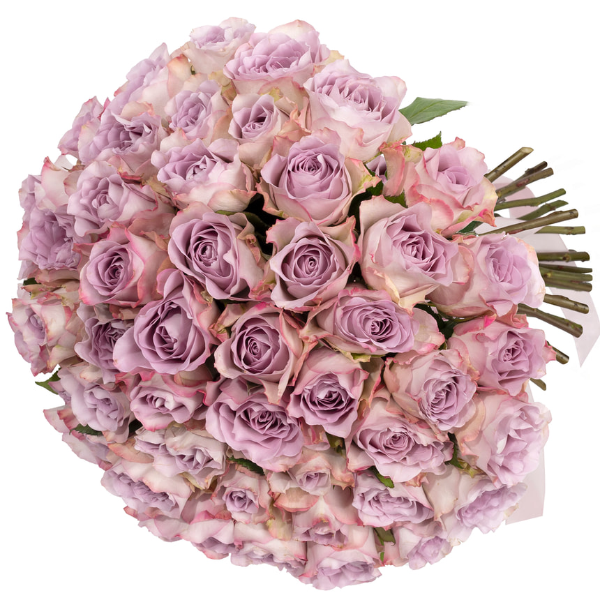 51 троянда Memory Lane (Кенія) – замовити з доставкою