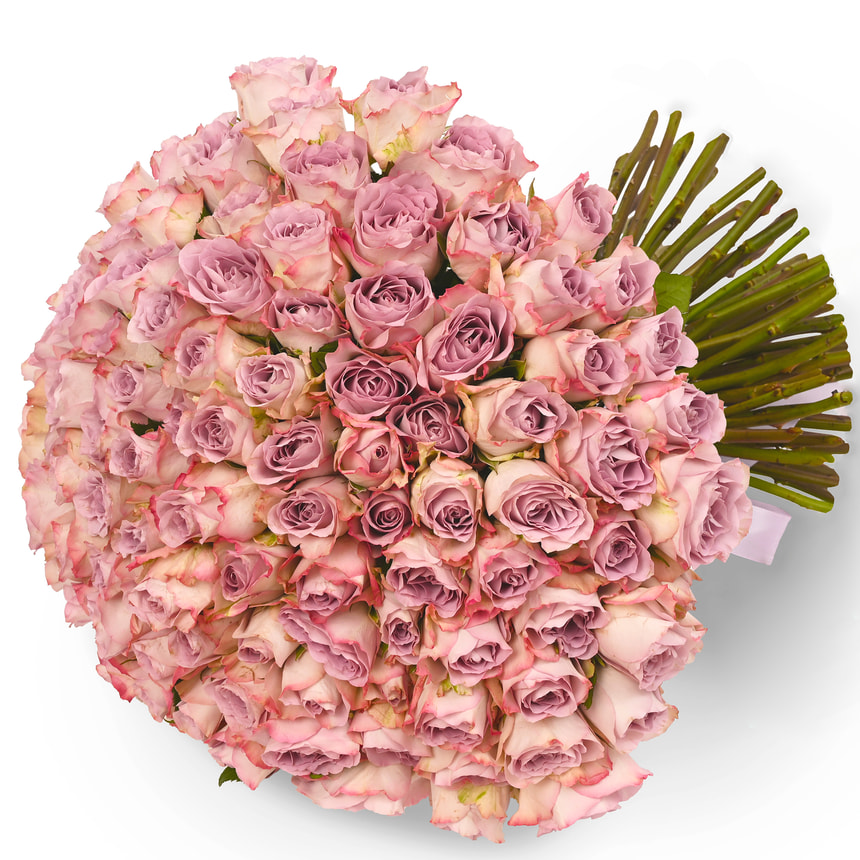 101 троянда Memory Lane (Кенія) – замовити з доставкою