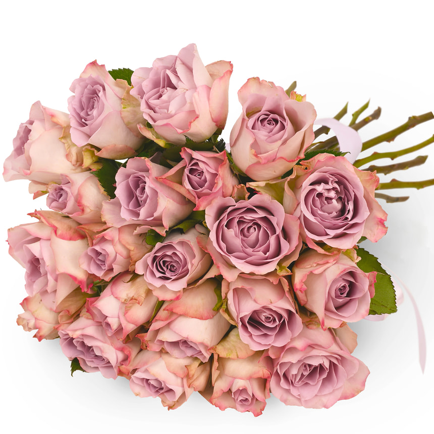 21 троянда Memory Lane (Кенія) – замовити з доставкою