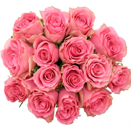 15 роз Lovely Rhodos (Кения) – доставка по Украине