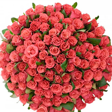 101 rose Pink Tacazzi (Kenya) – delivery in Ukraine