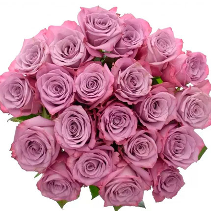 21 roses Maritim (Kenya) – delivery in Ukraine