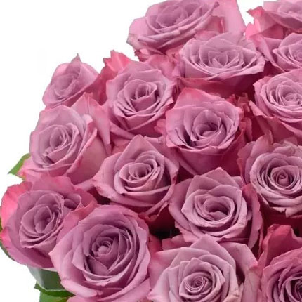 21 roses Maritim (Kenya) – order with delivery