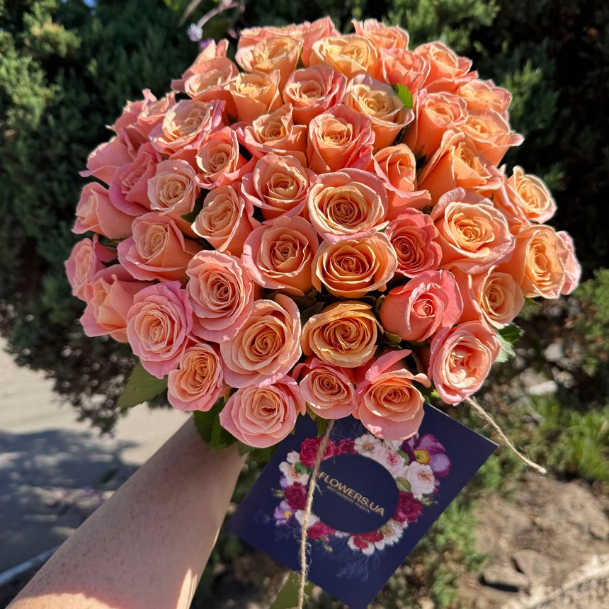 51 роза Мисс Пигги – заказать у Flowers.ua