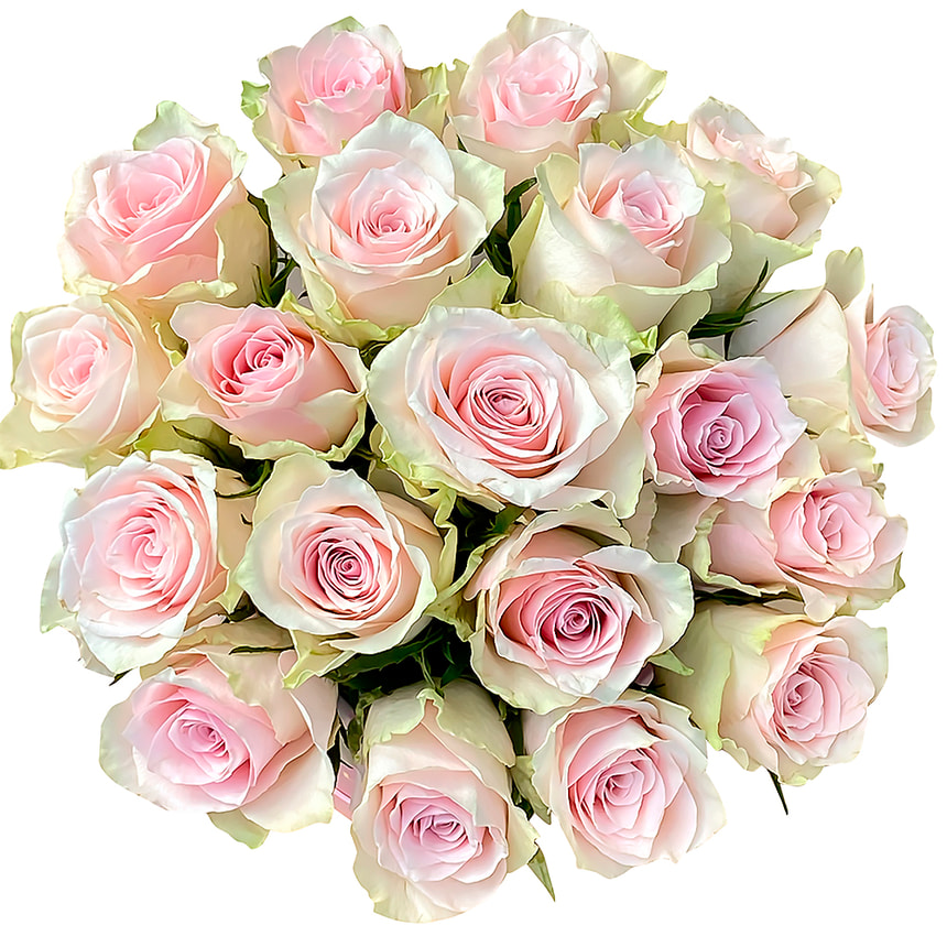 Квіти в коробці “19 троянд Pink Athena” – доставка по Україні