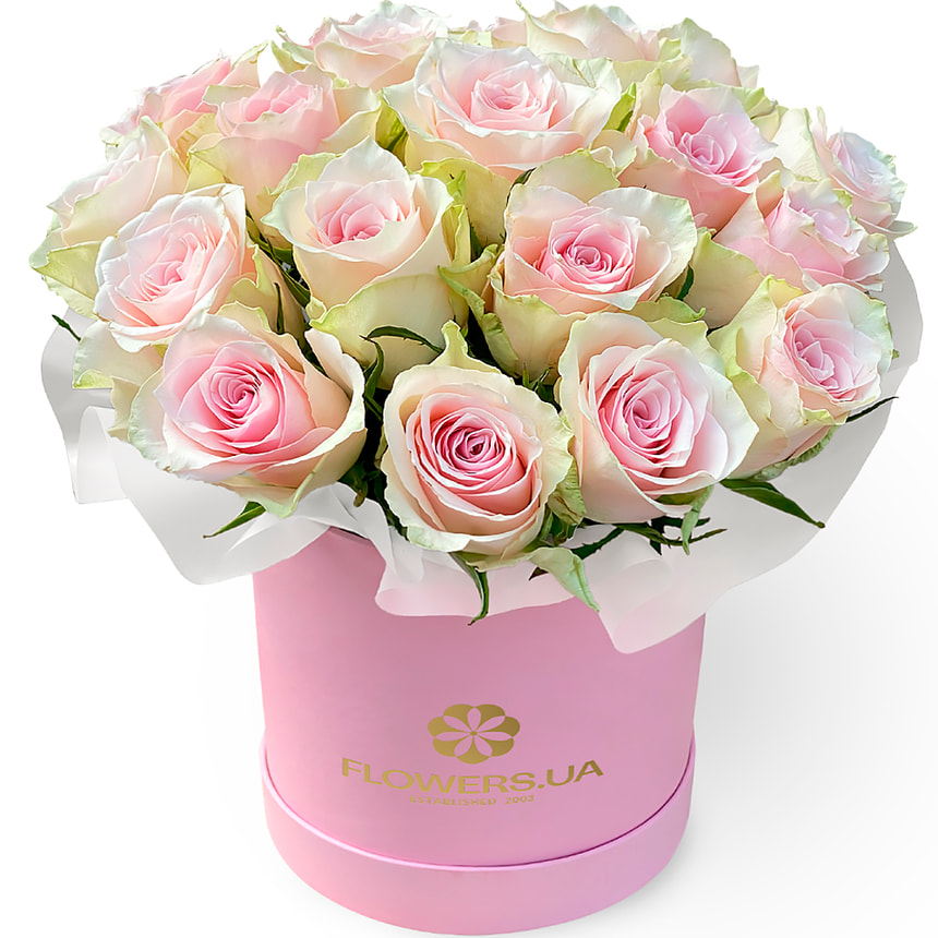 Квіти в коробці “19 троянд Pink Athena” – замовити з доставкою