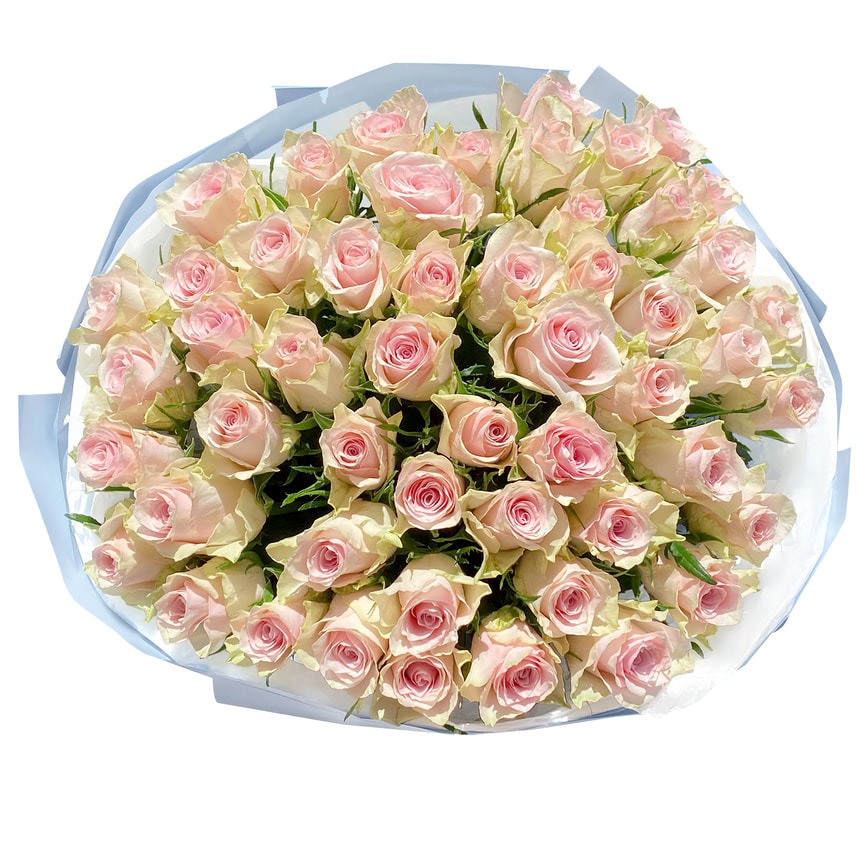 51 троянда Pink Athena – замовити з доставкою