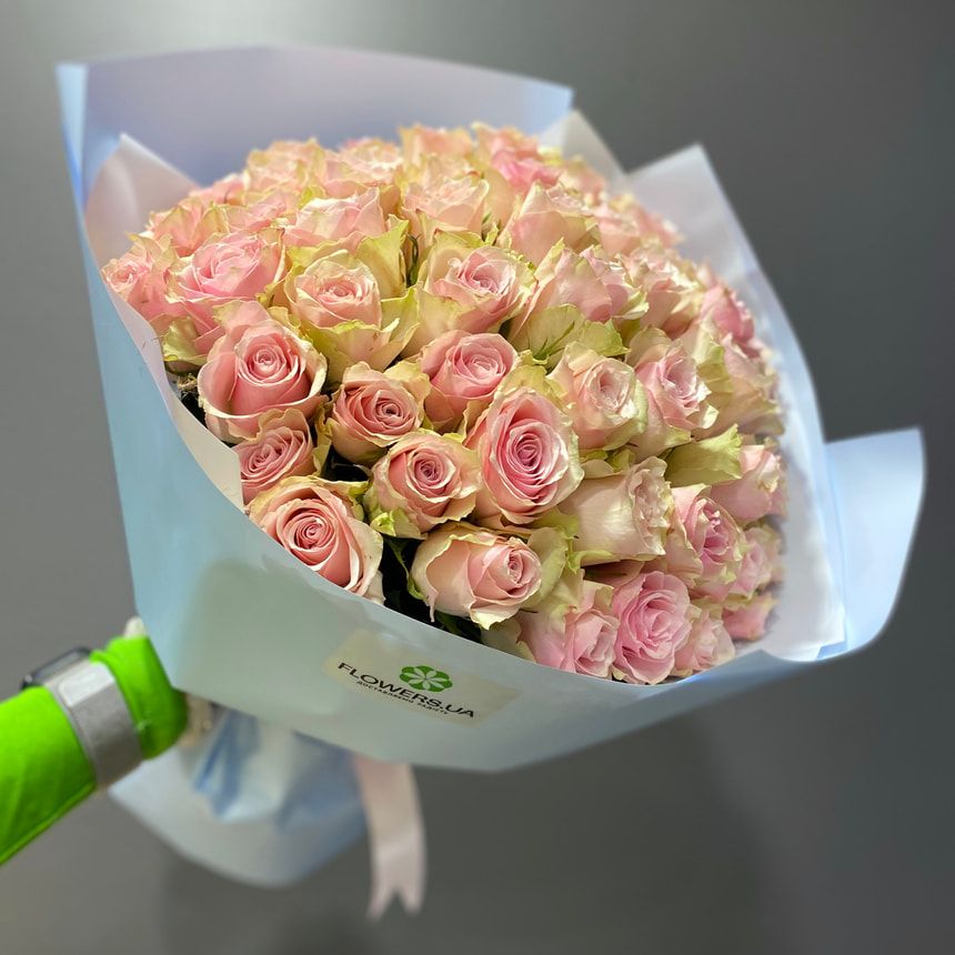 51 Pink Athena rose – order from Flowers.ua