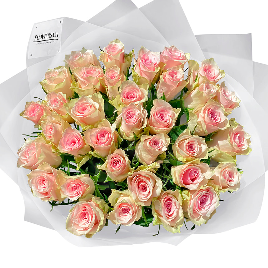 35 троянд Pink Athena – замовити з доставкою