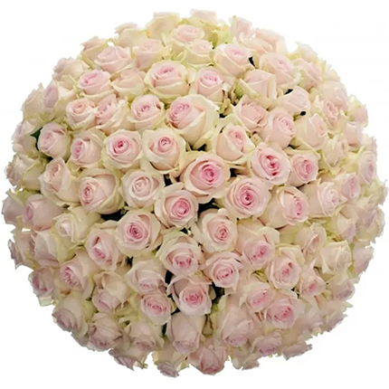 Букет “101 троянда Revival Sweet” – доставка по Україні