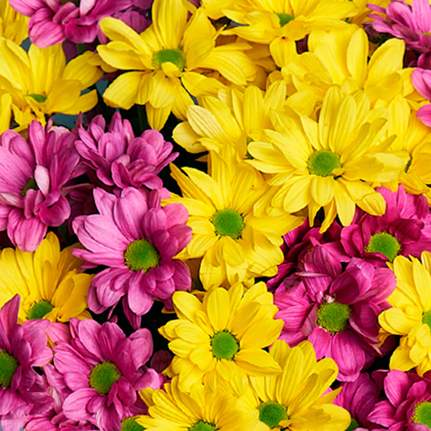 Bouquet "Sweet Melody" – order with delivery