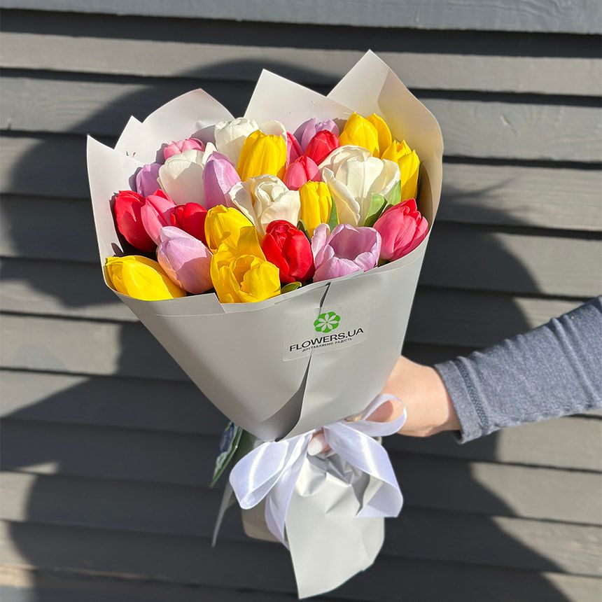 Bouquet "25 multi-colored tulips" – order from Flowers.ua