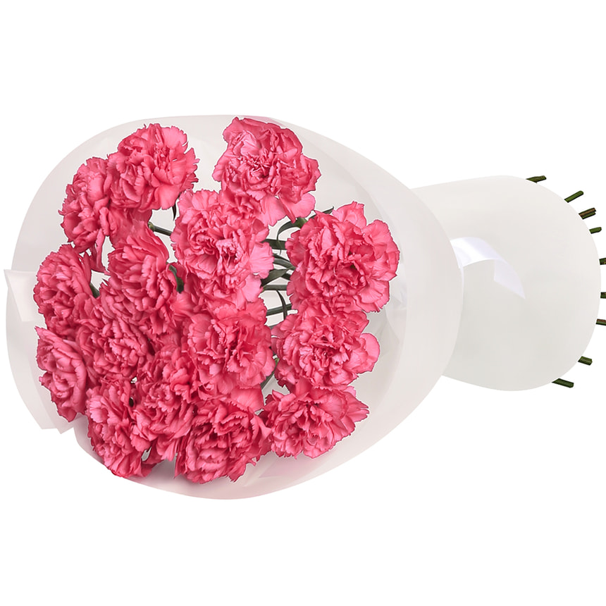 Букет "Фламінго" з 17 рожевих гвоздик – замовити з доставкою