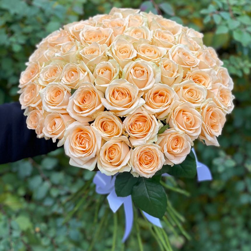 51 cream roses bouquet – order from Flowers.ua