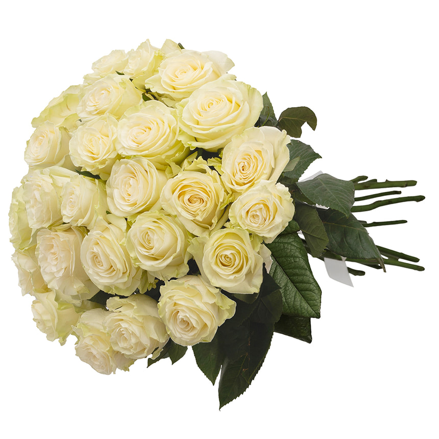 Bouquet "25 roses Mondial" – order with delivery
