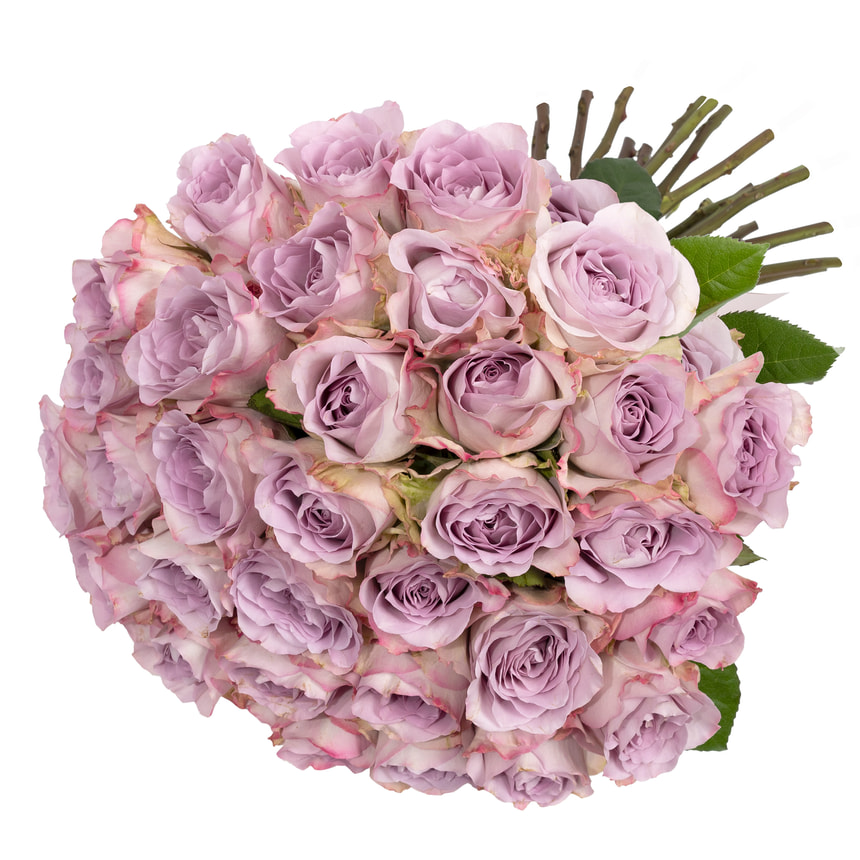 35 троянд Memory Lane (Кенія) – замовити з доставкою