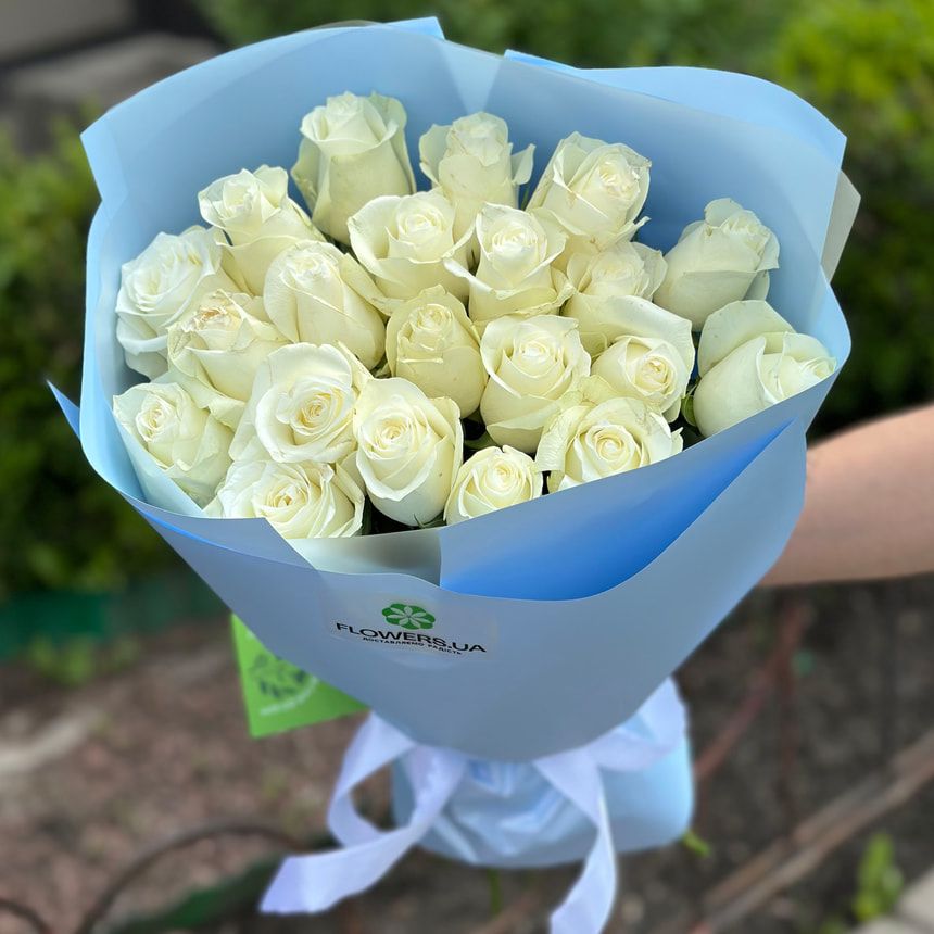 21 біла троянда