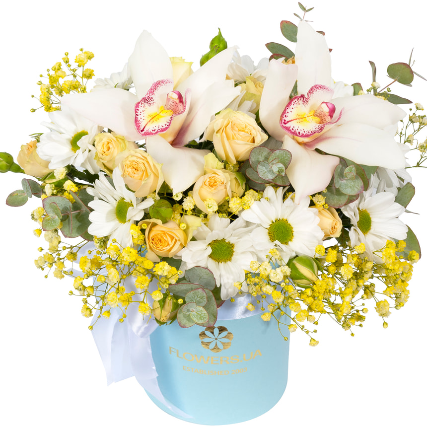 Композиція "Сонячні обійми" з Лемуром – замовити з доставкою