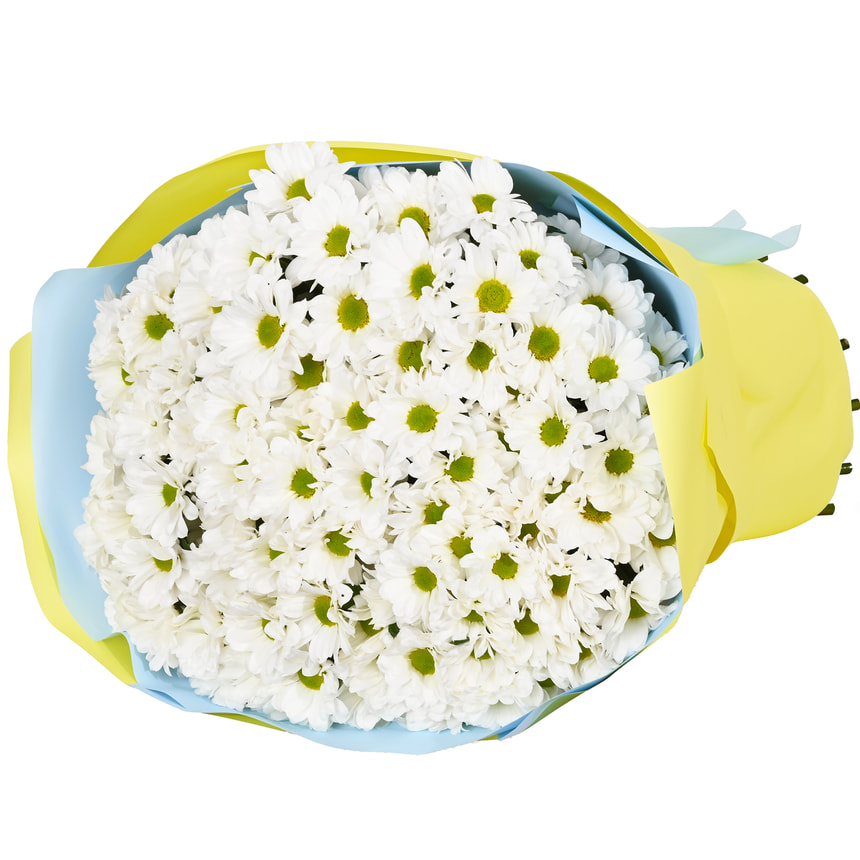 Букет "Безе" из 15 белых хризантем – заказать с доставкой