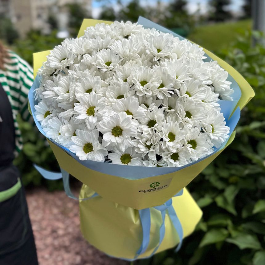 "Beze" bouquet of 15 white chrysanthemums – order from Flowers.ua