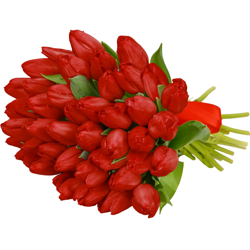 Монобукет із 41 червоного тюльпана – замовити з доставкою