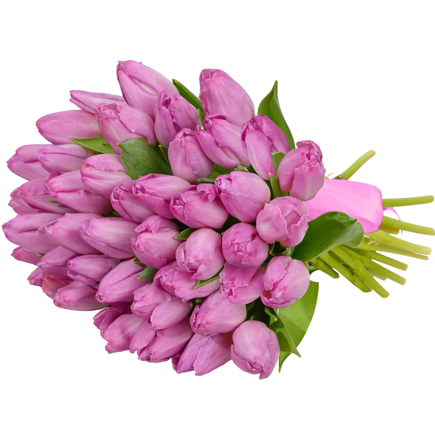 Mono bouquet of 41 pink tulips – order with delivery