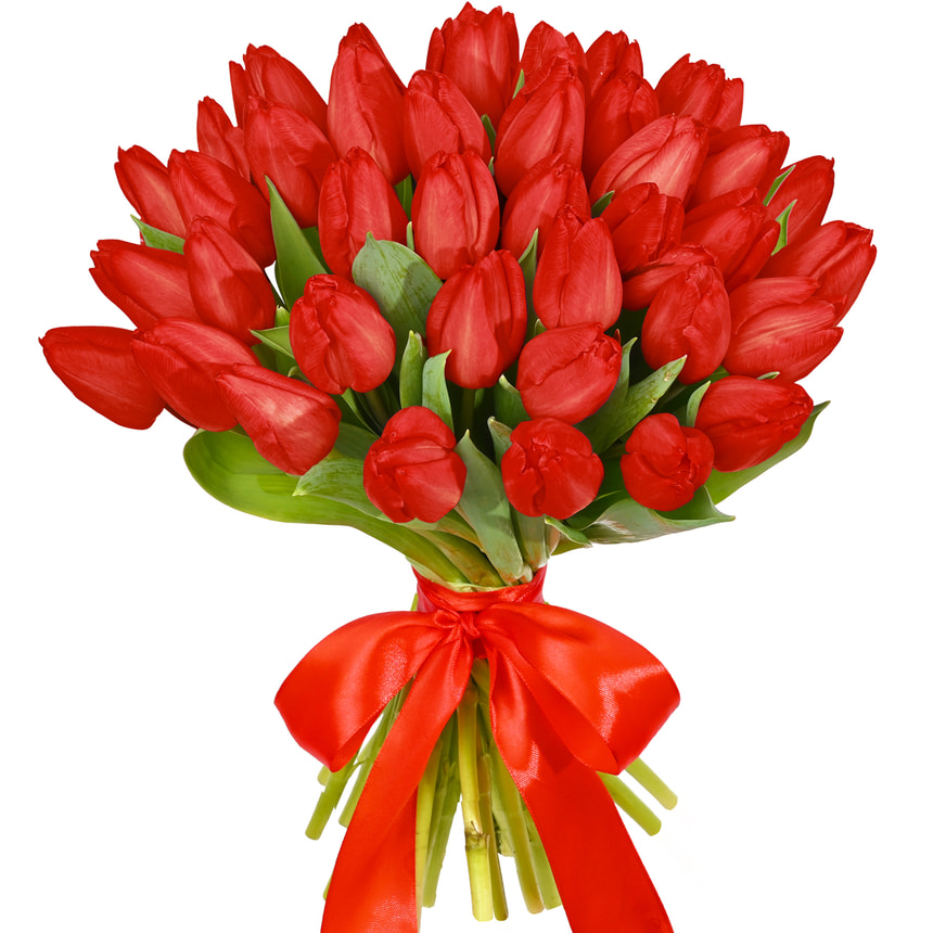 41 red tulips with Panda – order with delivery