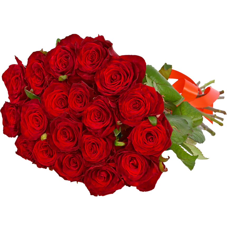 19 red roses with Bear – order with delivery