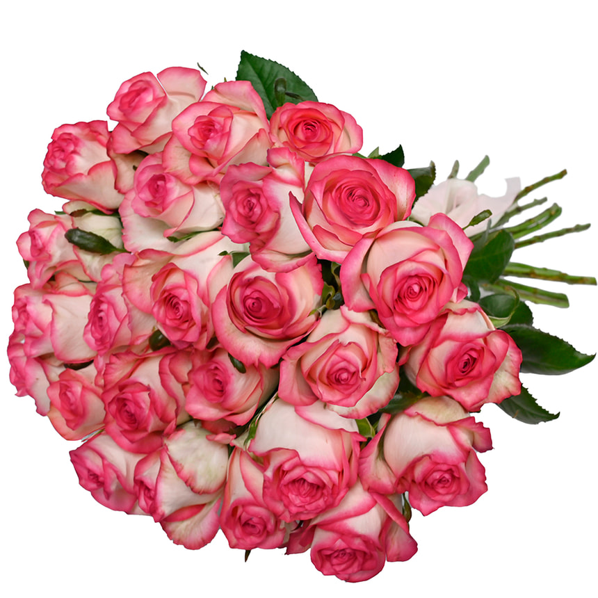 21 роза Джумилия – заказать с доставкой