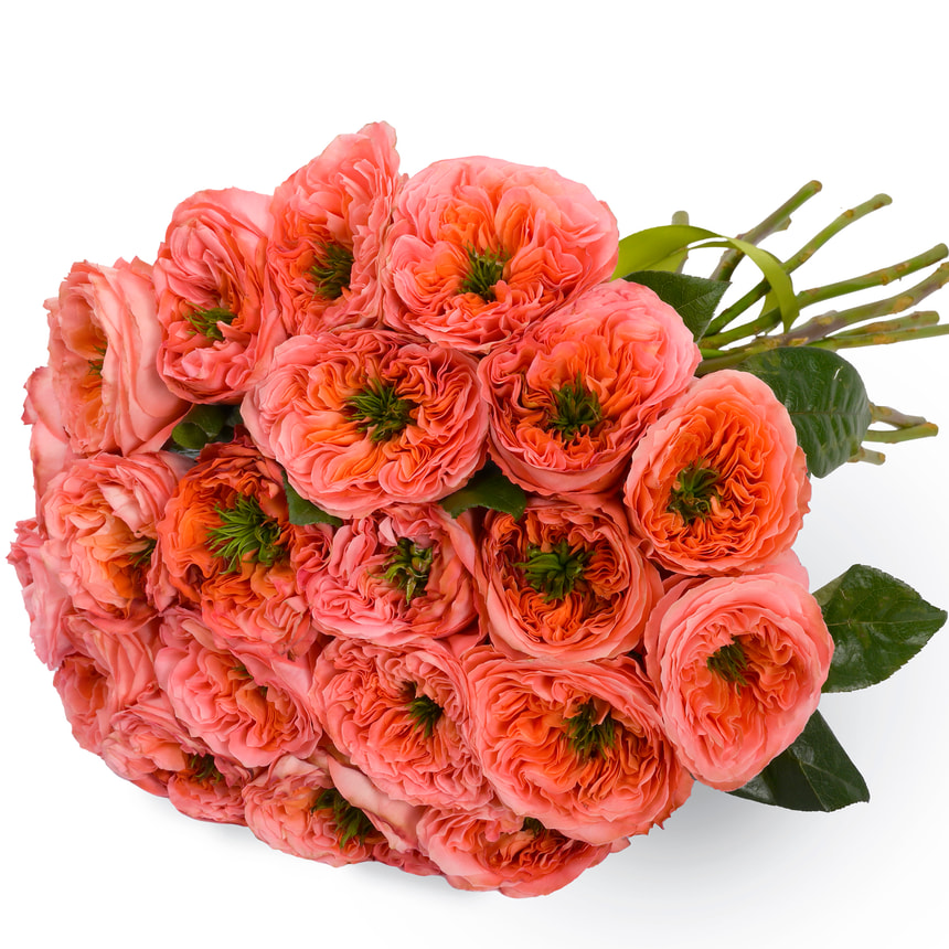 Bouquet of 25 Mandarin Expression roses – order with delivery