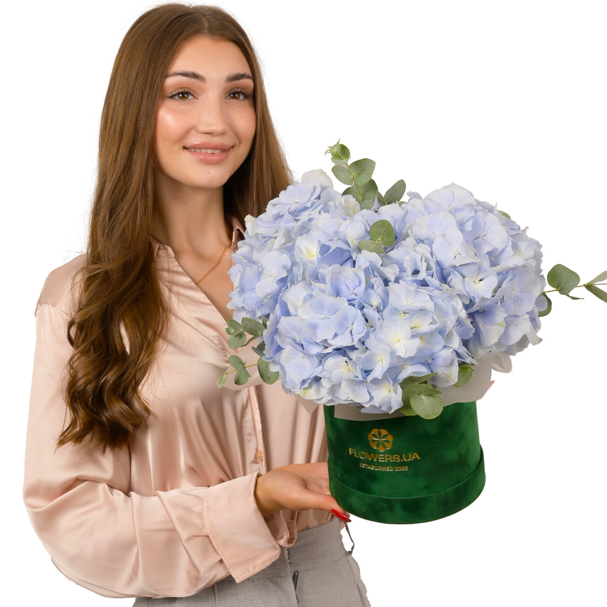 Композиція "Гортензія в блакитному" – доставка по Україні