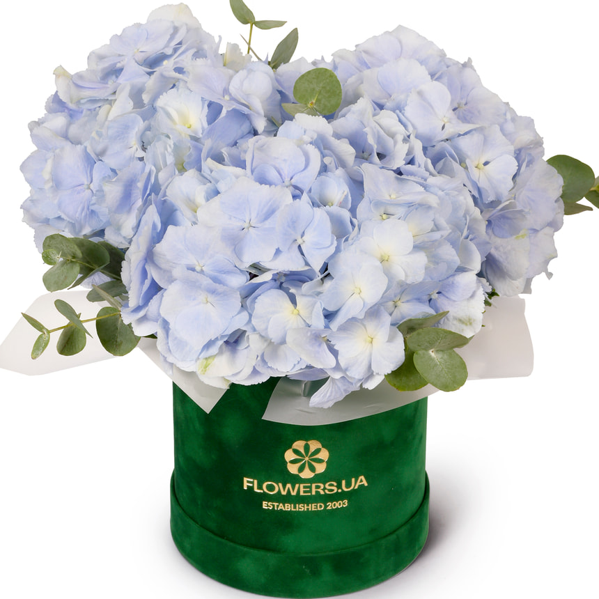 Композиція "Гортензія в блакитному" – замовити з доставкою