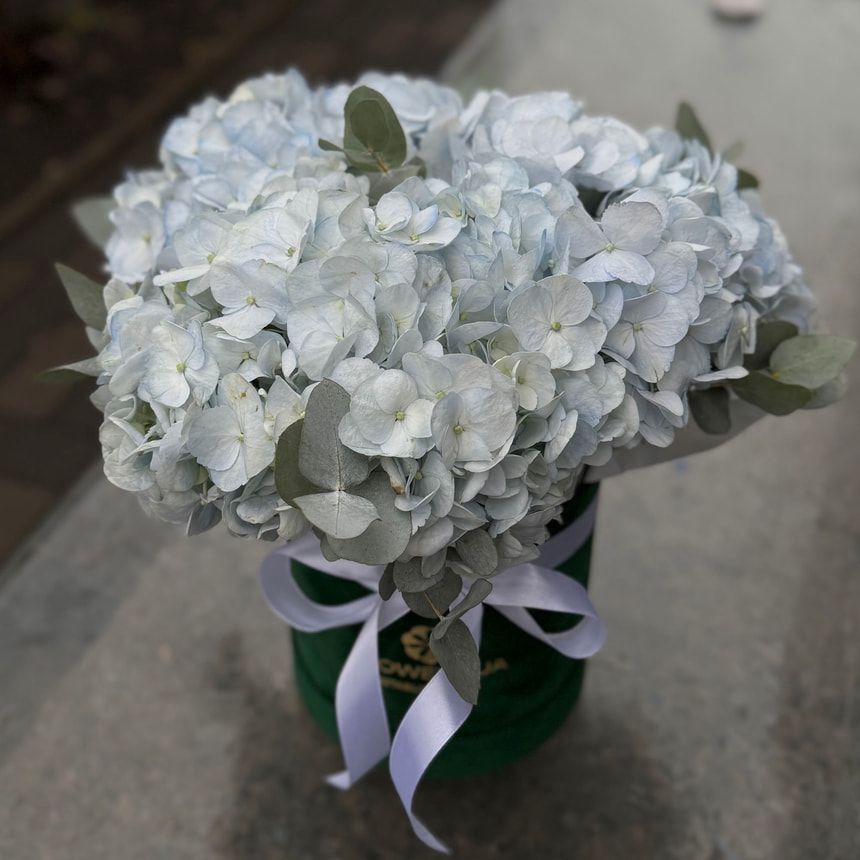 "Hydrangea in Blue" composition – order from Flowers.ua