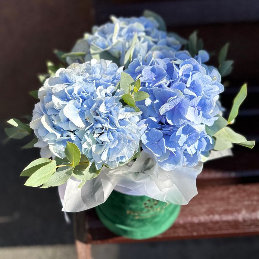 "Hydrangea in Blue" composition