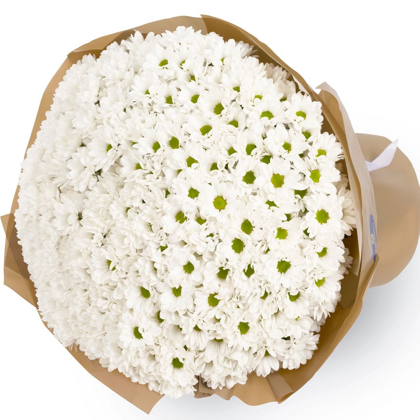 Букет "Tokio" з 51 білої хризантеми – замовити з доставкою