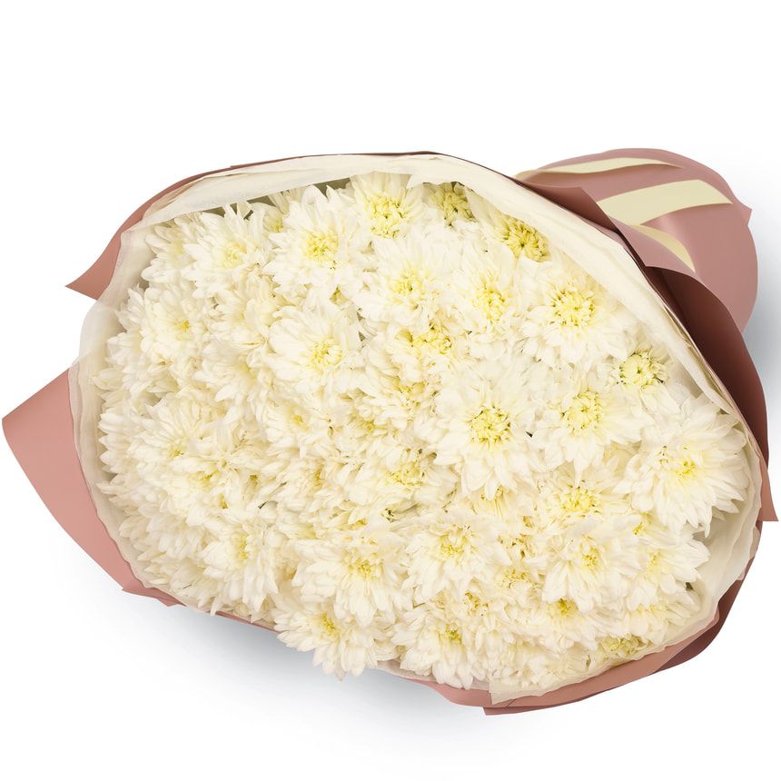 "Kiku White" bouquet of 13 chrysanthemums – order with delivery