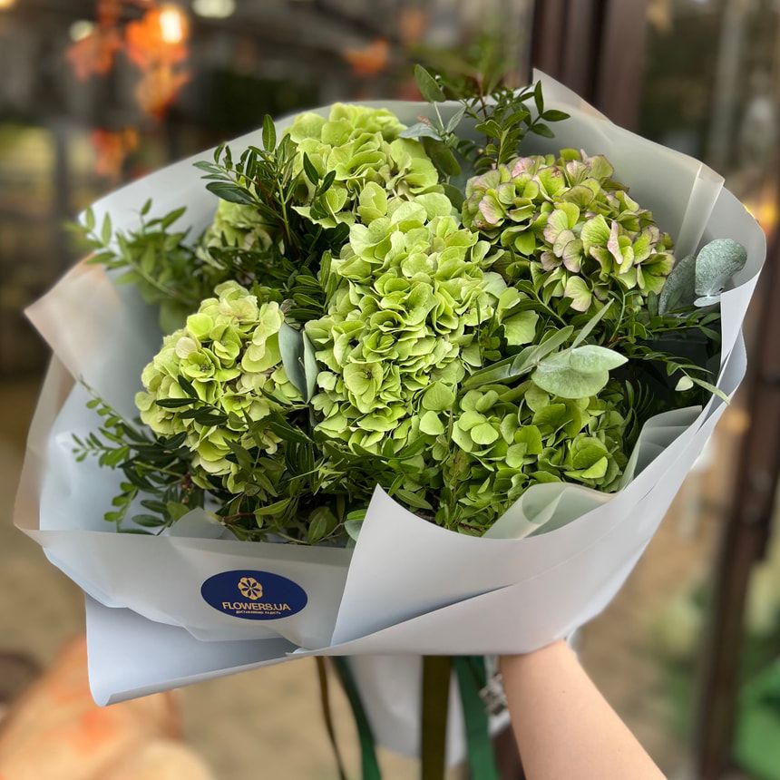 "Green Clouds" bouquet – order from Flowers.ua