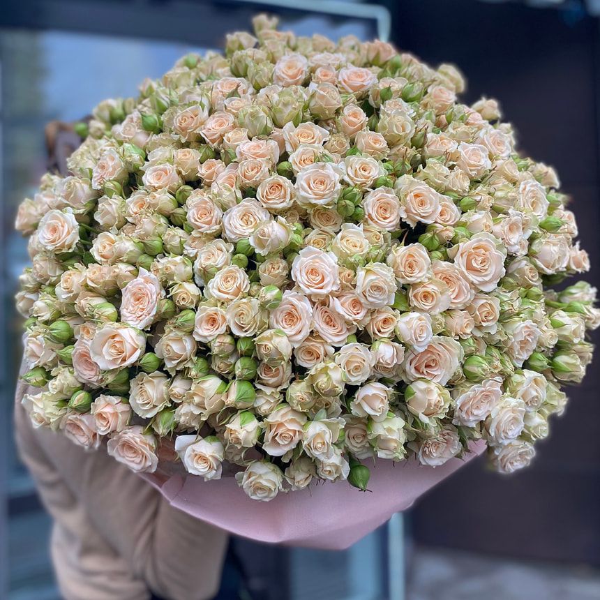 Букет из 51 кустовой кремовой розы – заказать у Flowers.ua