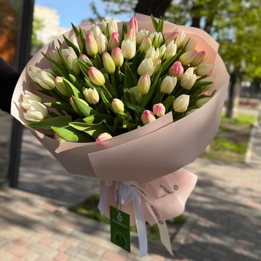 51 нежный тюльпан