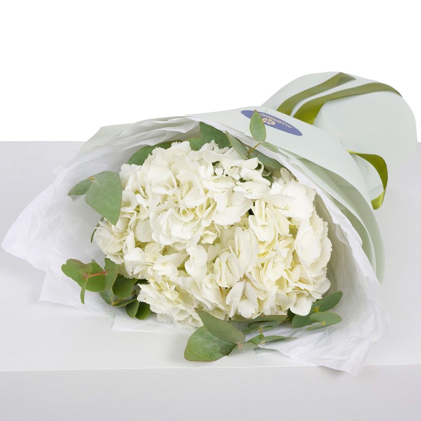 "White hydrangea" bouquet – order with delivery
