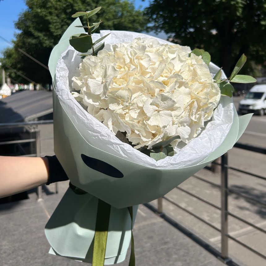 "White hydrangea" bouquet – order from Flowers.ua