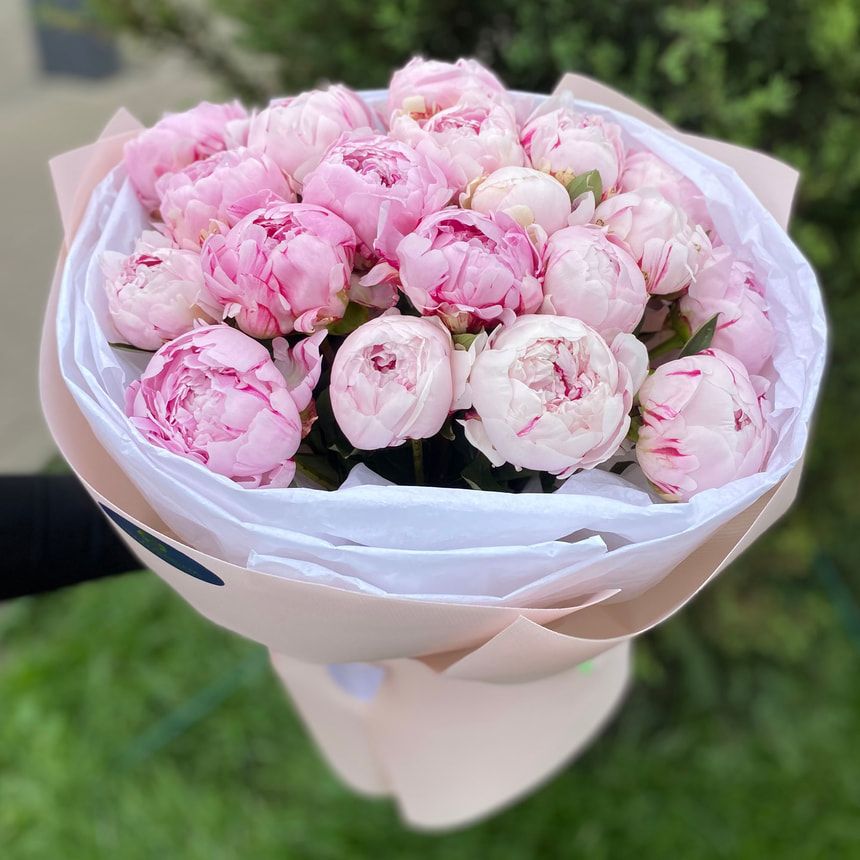 Peonies of Dreams